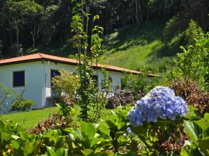 a house in the middle of a garden with flowers at Pousada Quintal das Hortênsias in Salesópolis