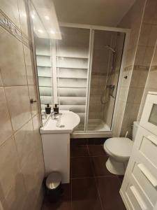 a bathroom with a toilet and a sink and a shower at Charmant studio meublé avec jardinet - 25 m2 - Orsay - Le Guichet in Orsay