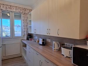 Η κουζίνα ή μικρή κουζίνα στο Fonyódi Centrum Apartman +5 φωτογραφίες