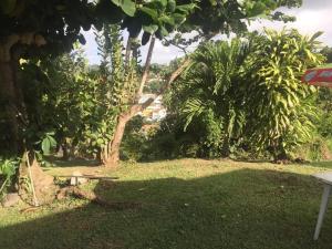 Zahrada ubytování Appartement cosy au bord de la mer, 30 m², 2 pers. + 4 fotografie