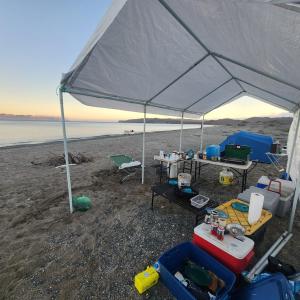 a tent on the beach with chairs and tables at Avistamiento de Ballenas y Campamento Todo incluido!! Mínimo 3 noches en Mag Bay in Punta Cove