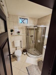 a bathroom with a shower and a toilet at Casa Paul in Craiova +13 photos