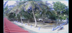 a row of palm trees on a beach next to a sidewalk at DNN Brothers Villa in Jaffna