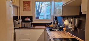a kitchen with a sink and a window at Tripplezimmer mit Garten, Kicker und Grill in Berlin