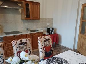 Η κουζίνα ή μικρή κουζίνα στο Podhradí 24 +17 φωτογραφίες