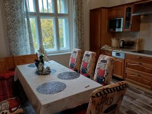 Η κουζίνα ή μικρή κουζίνα στο Podhradí 24