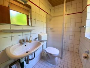 une salle de bain avec un lavabo et des toilettes dans l'établissement Natur Ferienpark 2 - Typ A, à Nieheim 6 autres photos
