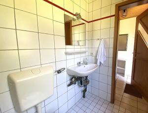 a bathroom with a toilet and a sink at Natur Ferienpark 25 - Typ A in Nieheim