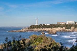Příroda nedaleko hotelu + 2 fotografie