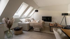 Μια τηλεόραση ή/και κέντρο ψυχαγωγίας στο Modern apartment next to Zurich HB with roof terrace