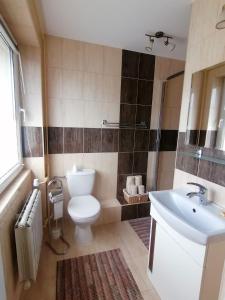 a bathroom with a toilet and a sink at Willa Górniak in Dziwnówek