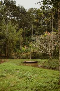 Gallery image of Greenex farm Resort in Vythiri