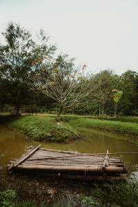 Gallery image of Greenex farm Resort in Vythiri