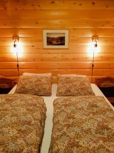 two beds in a room with wooden walls at Charming Small Cabin At The Top Of Blefjell in Flesberg