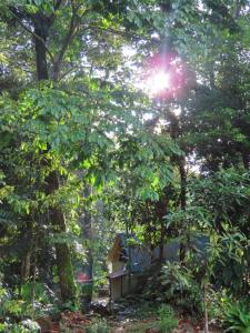 Κήπος έξω από το Posadas entre el Bosque-Tangara Real +3 φωτογραφίες