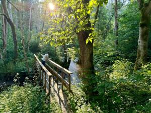 a man walking across a wooden bridge in a forest at Small Cabin With Outdoor Kitchen By Forest Stream in Trollhättan +9 photos