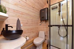 a bathroom with a sink and a toilet at Mileikių sodyba namelis dviems in Šarkiškės