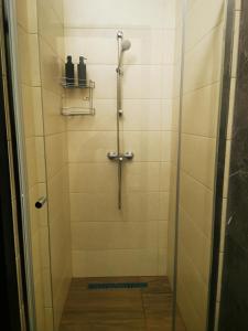 a shower with a glass door with two bottles on a shelf at Dankó Apartman in Hajdúszoboszló