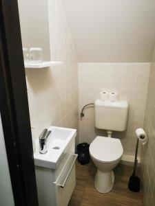 a small bathroom with a toilet and a sink at Dankó Apartman in Hajdúszoboszló +2 photos