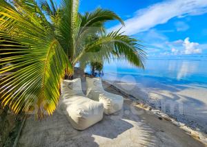 Příroda nedaleko vily