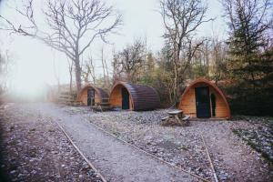 a group of three small tents in a forest at Ghyll Head Hive Pod Village in Winster +10 photos