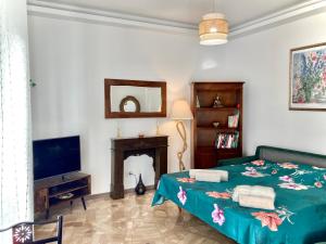 a living room with a bed and a tv at Charming king studio with balcony and jacuzzi in Como