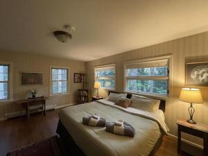 a bedroom with a large bed with two pillows on it at Unique Ski Rental in Berkshires Charlemont Near Hawley State Forest, Plainfield, Western Massachusetts in Plainfield