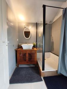 a bathroom with a sink and a shower at La Bastide Girondine in Saint-Loubès