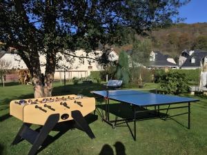 een tafeltennistafel in een tuin met een boom bij Gite Chez Balum - 1 proche Lourdes in Lézignan
