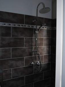una ducha con cabezal de ducha en un baño en Studio Églantine, en Lorgues