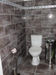 Un baño con inodoro y una pared de azulejos. en Studio Églantine, en Lorgues