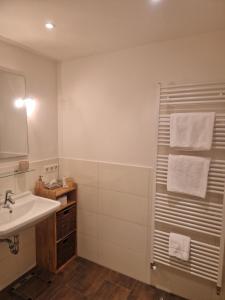 a bathroom with a sink and a shower with towels at Moderne Ferienwohnung 2 Pers in Bad Zwischenahn
