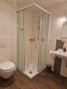 a bathroom with a shower and a toilet and a sink at Moderne Ferienwohnung 2 Pers in Bad Zwischenahn +7 photos