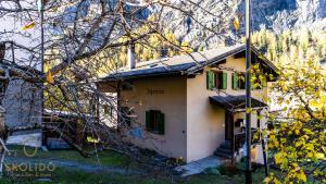 Budova, kde se apartmán nachází + 10 fotografií