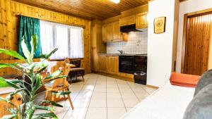 Köök või kööginurk majutusasutuses Haus Jägerheim, Herbriggen