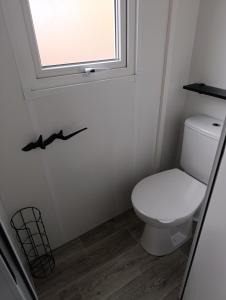 a bathroom with a toilet and a window at Mobil-home neuf sous les pins, à proximité des infrastructures in Saint-Julien-en-Born +4 photos