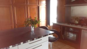 een keuken met een aanrecht met een vaas met bloemen erop bij Villa Zaphira in La Hume