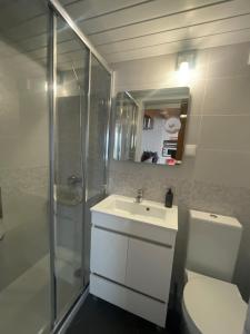 a bathroom with a toilet and a sink and a shower at Casa Das Batatas in Odeceixe
