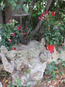 un jardín con flores y un tronco de árbol en Studio Églantine, en Lorgues