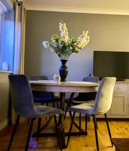 TV a/nebo společenská místnost v ubytování Modern house easy access Norwich city and broads