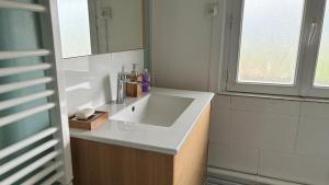 a bathroom with a sink and a window at T2 proche du CH d'Arras in Sainte-Catherine