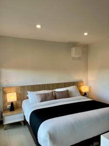 Ένα ή περισσότερα κρεβάτια σε δωμάτιο στο Hotel Rioverde-Suite localizada a 5 minutos del aeropuerto Internacional