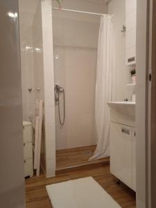 Ένα μπάνιο στο Fonyódi Centrum Apartman