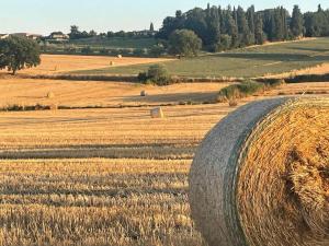 ein großer Heuhaufen auf einem Feld in der Unterkunft Trasimeno Holiday Home in Castiglione del Lago