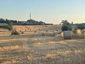 ein großes Feld mit Heuballen darin in der Unterkunft Trasimeno Holiday Home in Castiglione del Lago