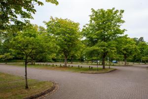 een park met bomen en een bakstenen weg bij Villas at Park Campus in Cheltenham
