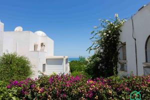 Κήπος έξω από το Le duplex du Golden Tulip