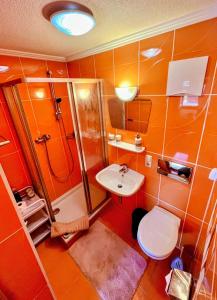 a bathroom with a shower and a toilet and a sink at Lampererhof in Sankt Johann in Tirol +59 photos