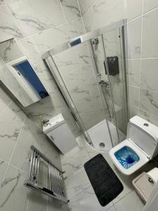 a bathroom with a shower and a toilet and a sink at Central London room w kitchen in London