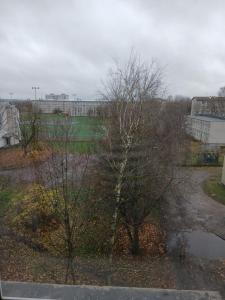 uma vista a partir de uma janela de um parque com uma árvore em Уютный уголок em Narva